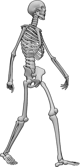 Posen-Referenz- Gehende Skelett-Pose - Skelett geht in ruhiger Pose